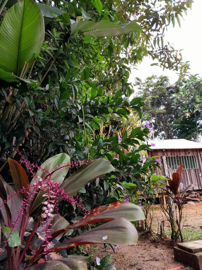 Casa Do Xingu Daire Leticia Dış mekan fotoğraf